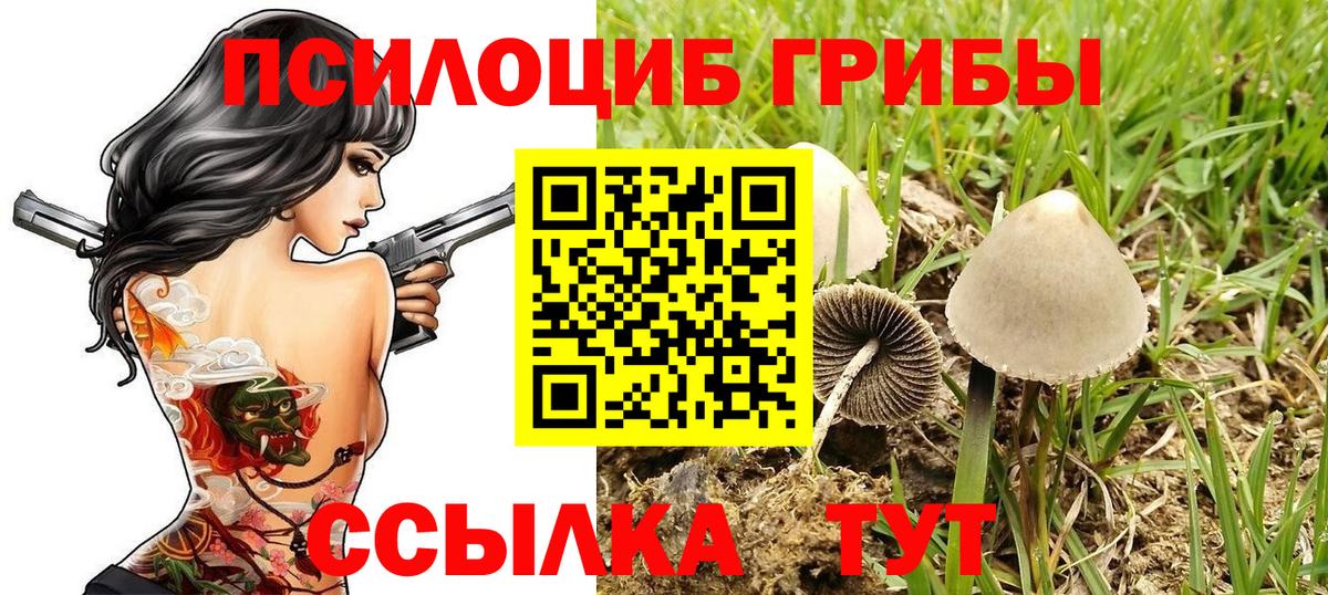 Псилоцибиновые грибы Magic Shrooms  Вход с VPN  Симферополь 